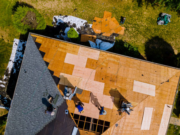 Best Roof Gutter Cleaning  in Springboro, OH