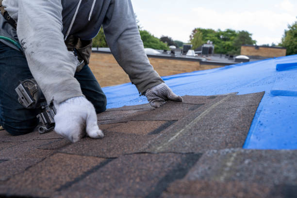 Best Roof Gutter Cleaning  in Springboro, OH